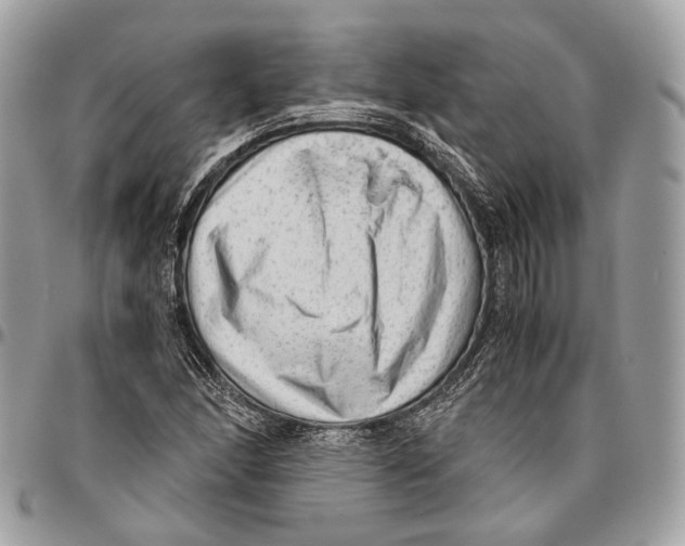 X0000096401166200802141511