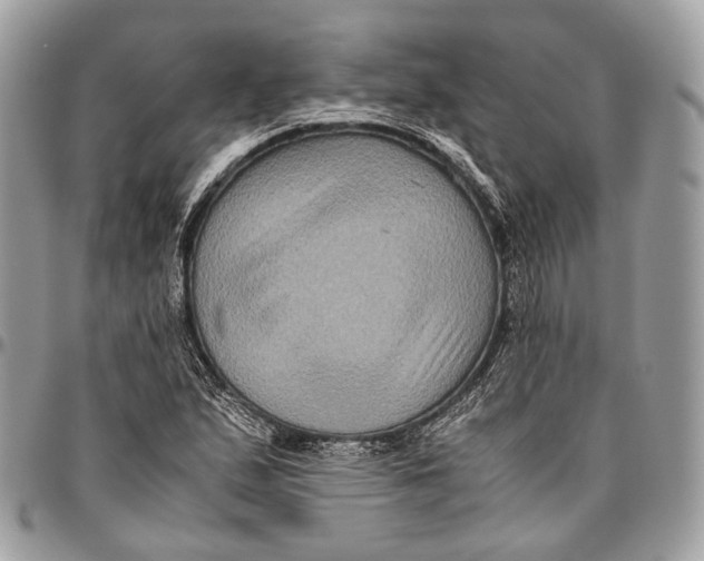 X0000096401167200802141511