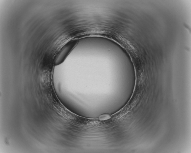 X0000096401169200802141511