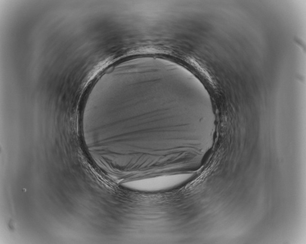 X0000096401173200802141511