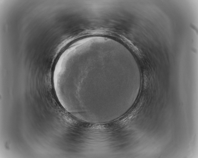 X0000096401174200802141511