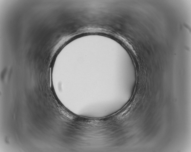 X0000096401175200802141511