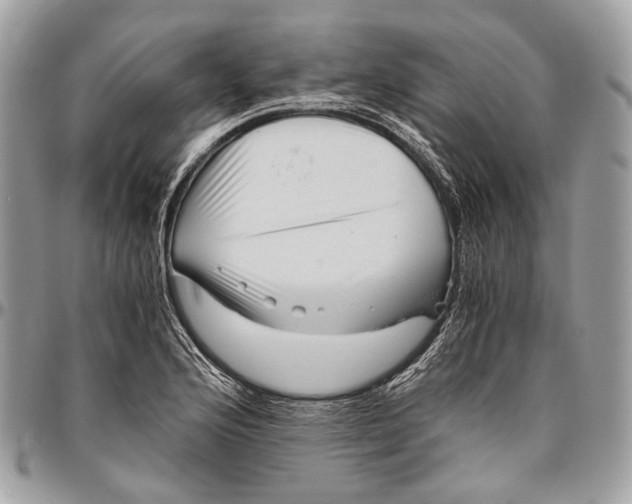 X0000096401176200802141511