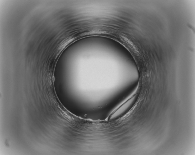 X0000096401177200802141511