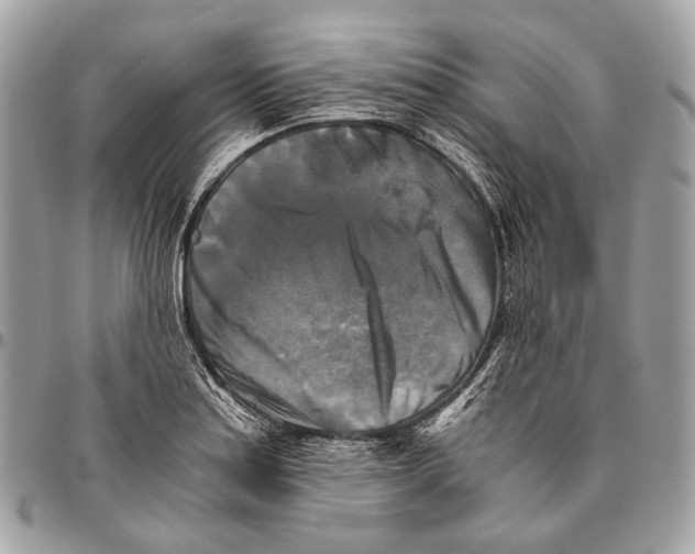 X0000096401179200802141511