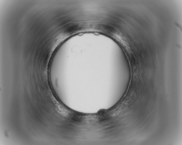 X0000096401181200802141511