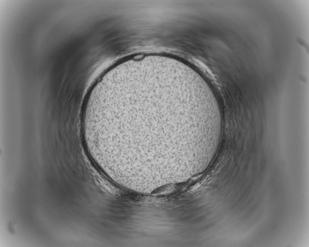 X0000096401183200802141511