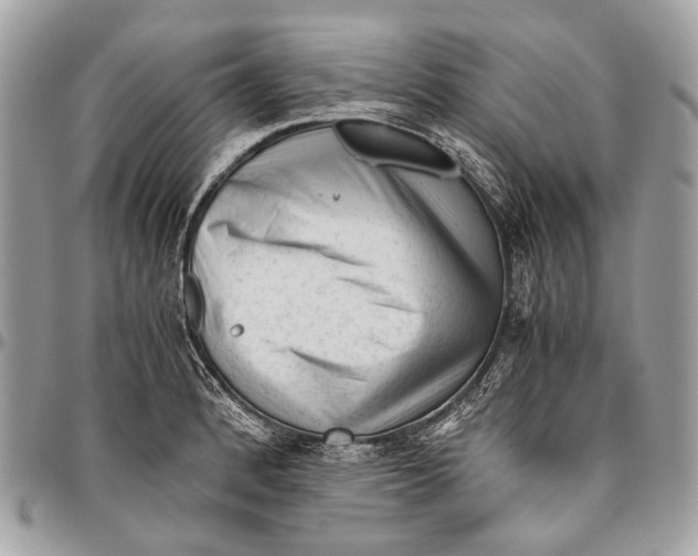 X0000096401184200802141511