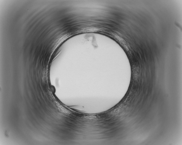 X0000096401186200802141511