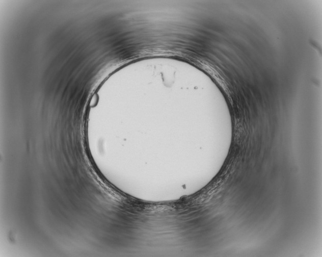 X0000096401187200802141511