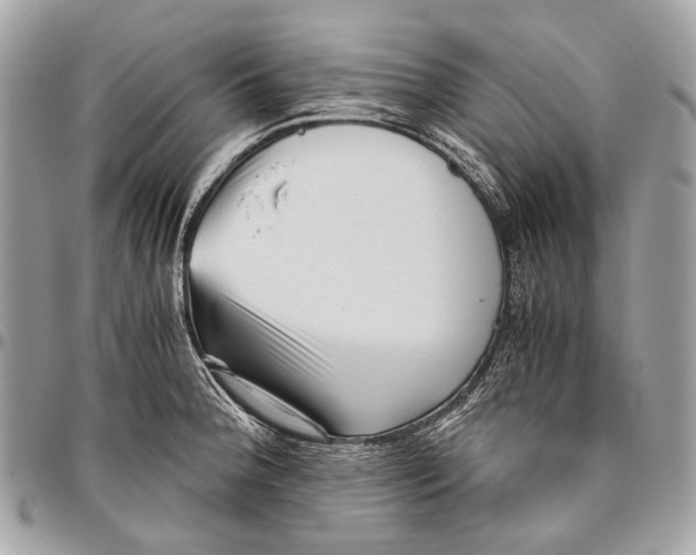 X0000096401188200802141511