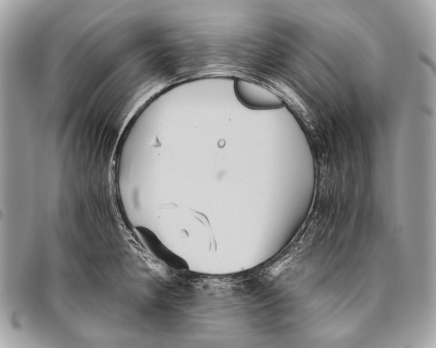 X0000096401190200802141511