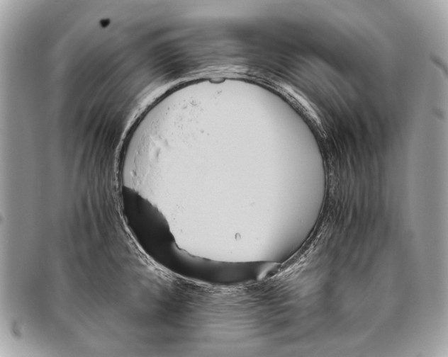 X0000096401192200802141511