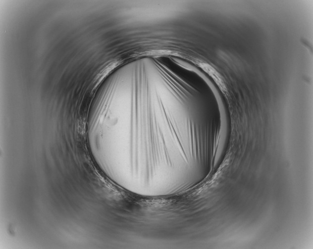 X0000096401193200802141511