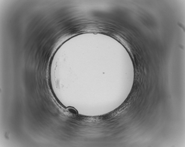 X0000096401195200802141511