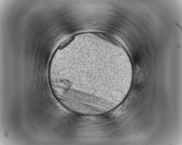 X0000096401197200802141511