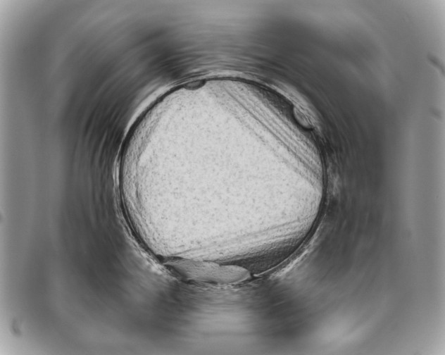 X0000096401198200802141511