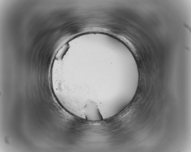 X0000096401199200802141511