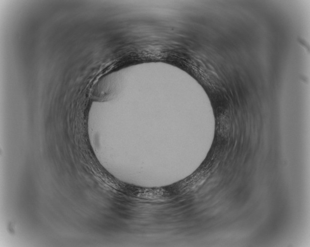 X0000096401201200802141510