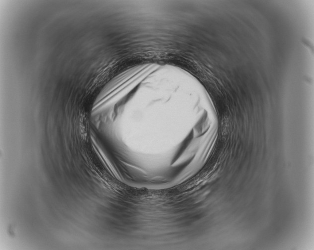 X0000096401202200802141510