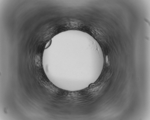 X0000096401203200802141510