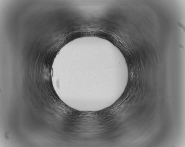 X0000096401204200802141510