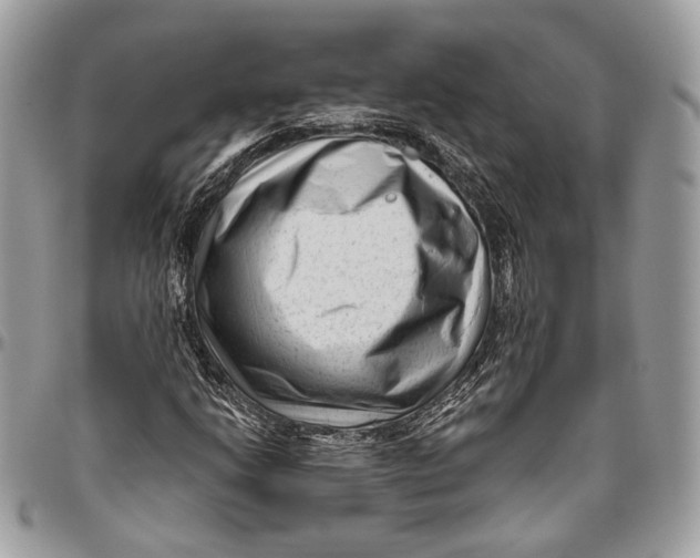 X0000096401206200802141510