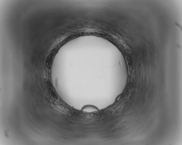 X0000096401207200802141510