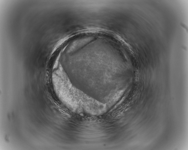 X0000096401208200802141510