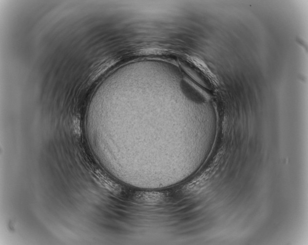 X0000096401209200802141510