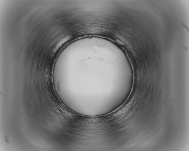 X0000096401210200802141510