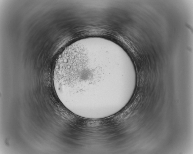 X0000096401211200802141510