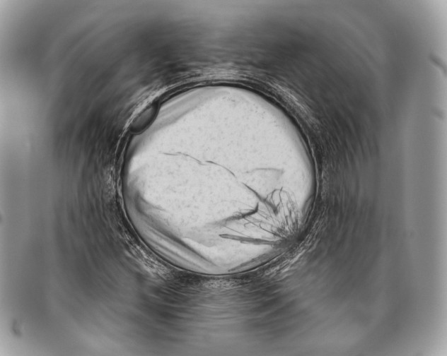 X0000096401212200802141510