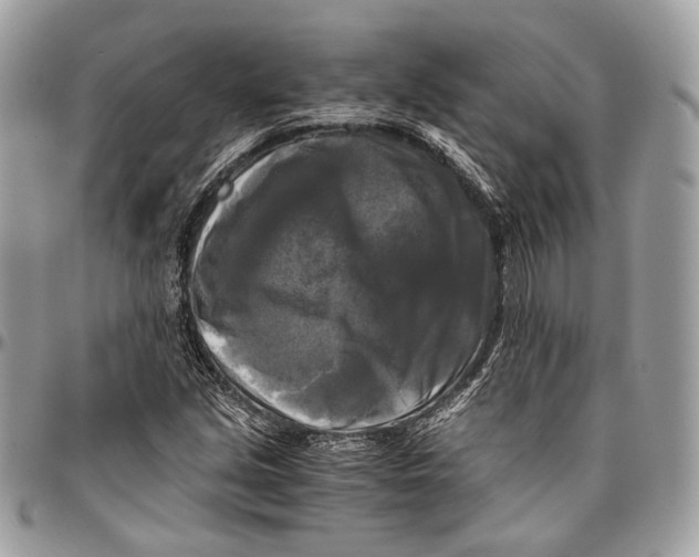 X0000096401213200802141510