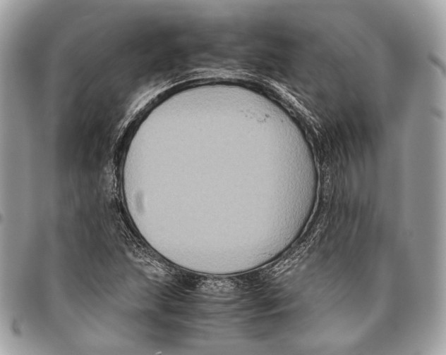 X0000096401215200802141511