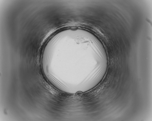 X0000096401216200802141511