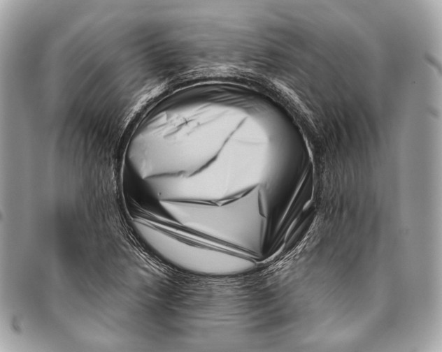 X0000096401218200802141511