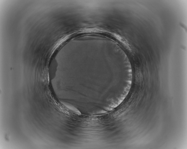 X0000096401221200802141511