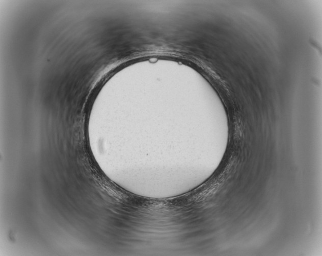 X0000096401222200802141511