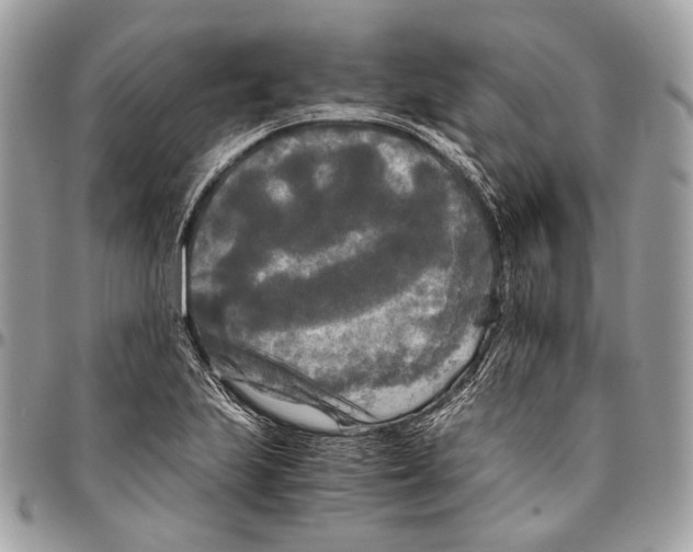 X0000096401223200802141511