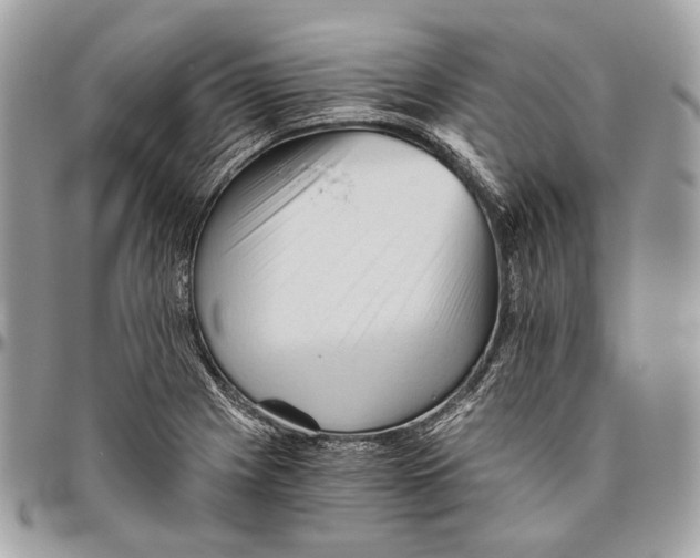 X0000096401225200802141511