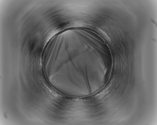 X0000096401226200802141511