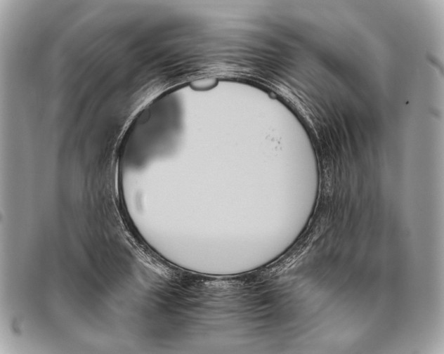 X0000096401227200802141511