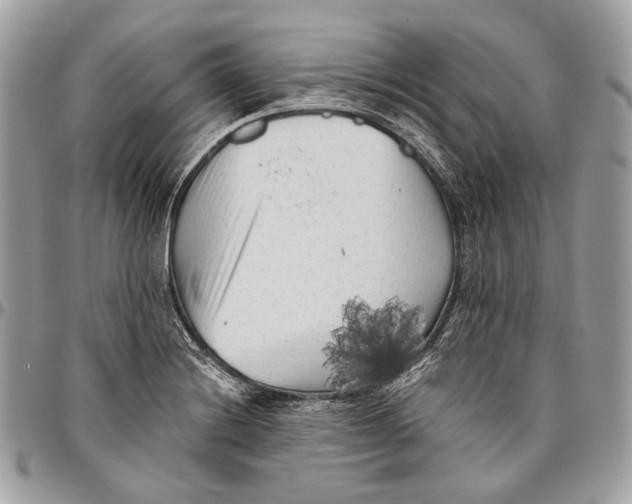 X0000096401228200802141511