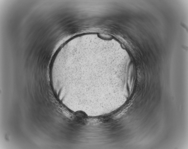 X0000096401230200802141511