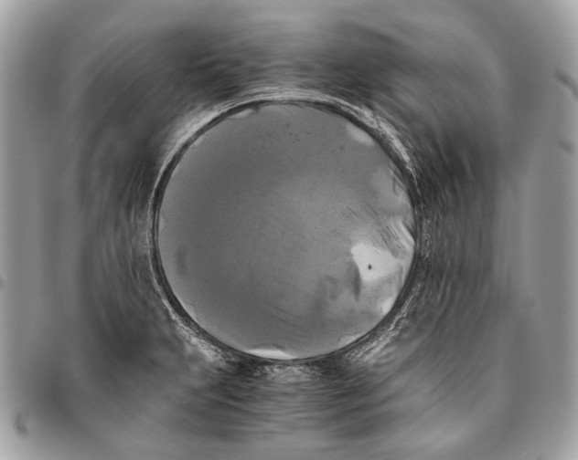 X0000096401231200802141511