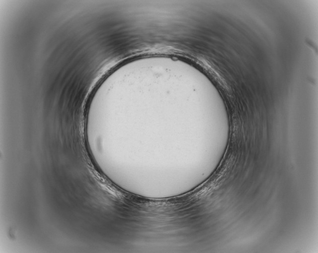 X0000096401232200802141511