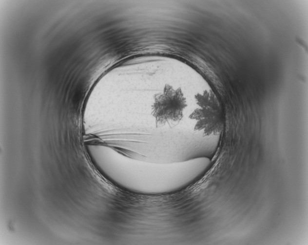 X0000096401234200802141511