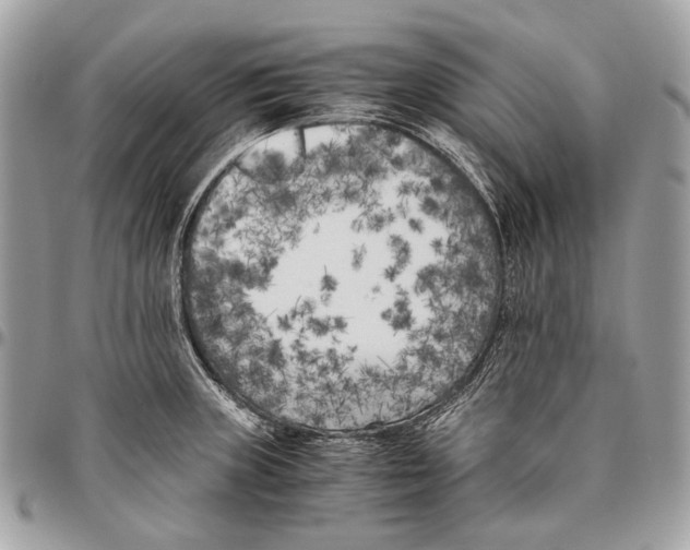 X0000096401235200802141511