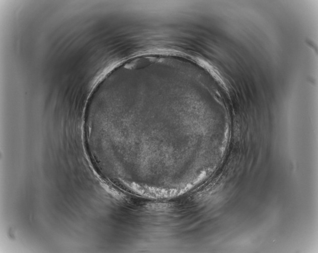 X0000096401237200802141511